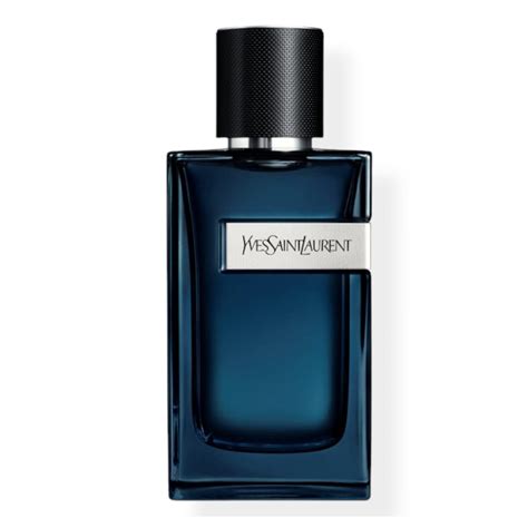 ysl parfum intense fragrantica|YSL y edp intense 2023.